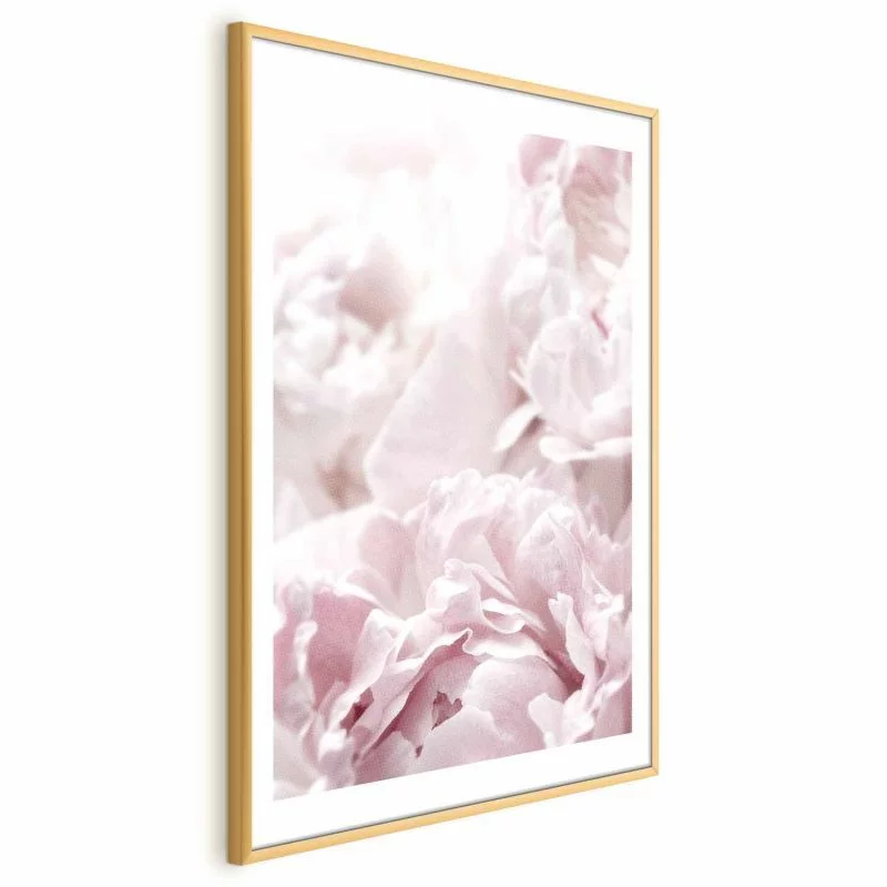 Plakat - Puszyste peonie - obrazek 1