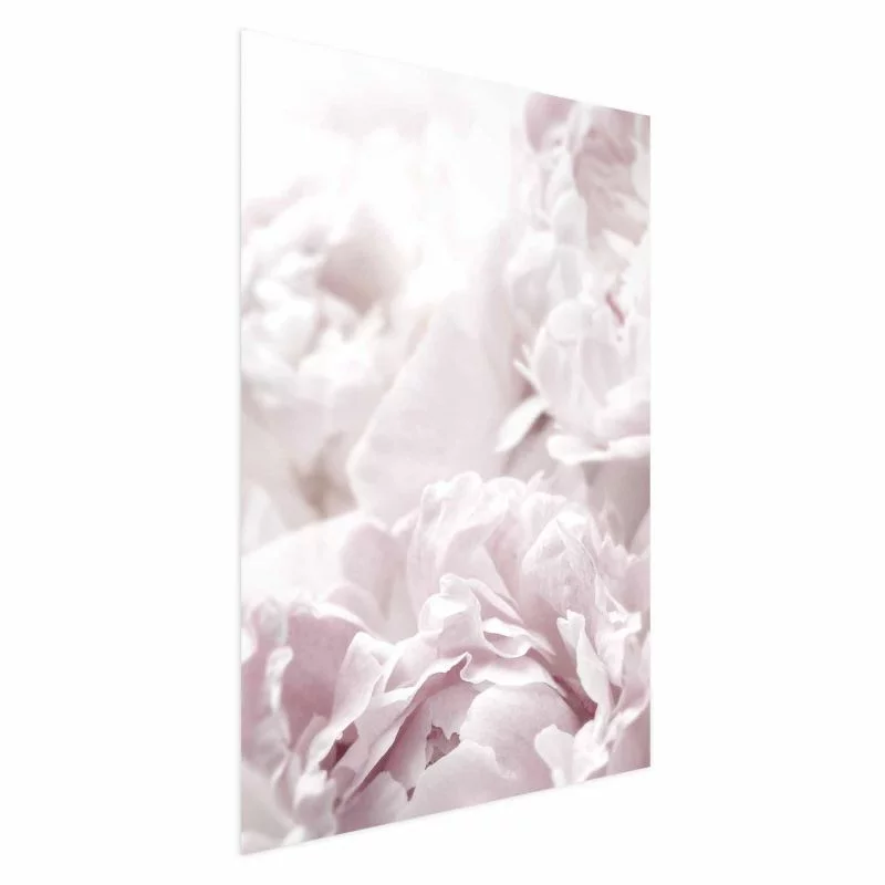 Plakat - Puszyste peonie - obrazek 1