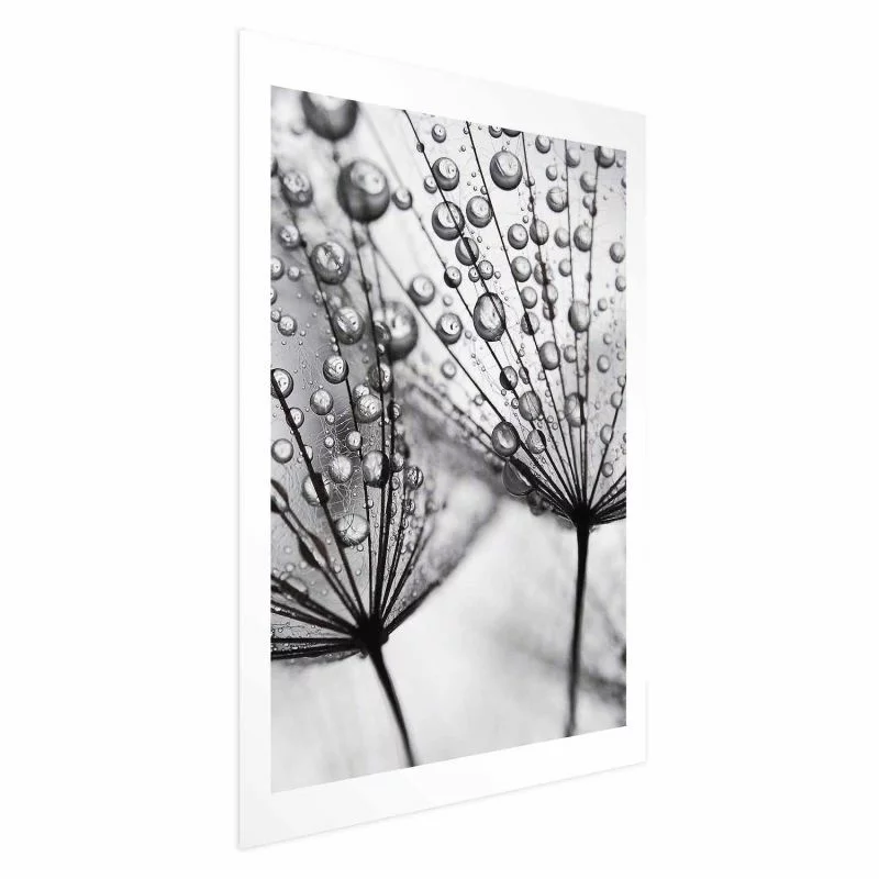 Plakat - Rosa w skali makro - obrazek 1