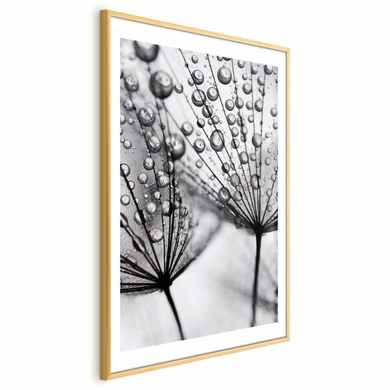 Plakat - Rosa w skali makro - obrazek 1
