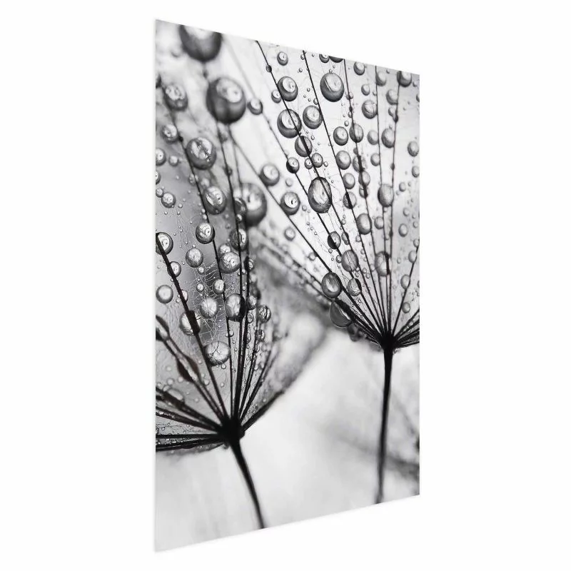 Plakat - Rosa w skali makro - obrazek 1