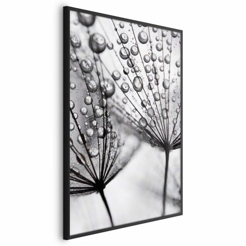 Plakat - Rosa w skali makro - obrazek 1