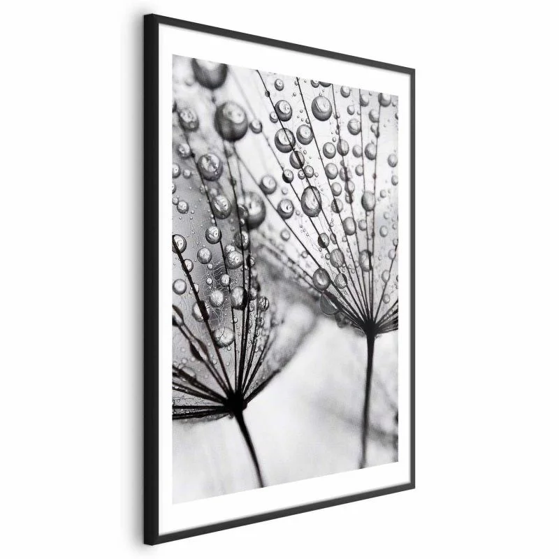 Plakat - Rosa w skali makro - obrazek 1