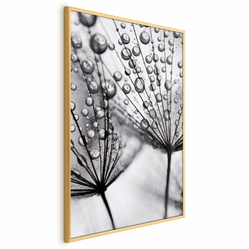 Plakat - Rosa w skali makro - obrazek 1