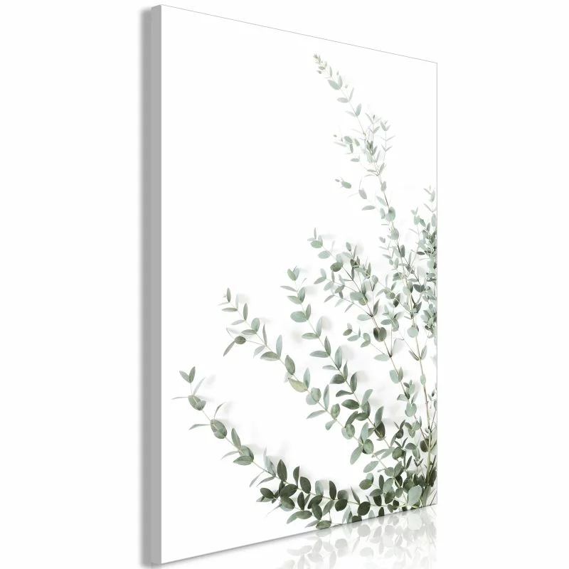 Obraz - Eukaliptus Parvifolia (1-częściowy) pionowy - obrazek 1