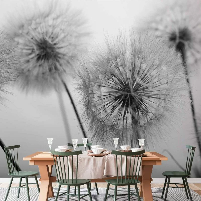 Fototapeta - Pora na dmuchawce - drugi wariant - obrazek 1