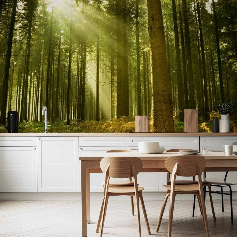 Fototapeta - Sosnowy las - gęste leśne poszycie w promieniach porannego słońca - obrazek 1