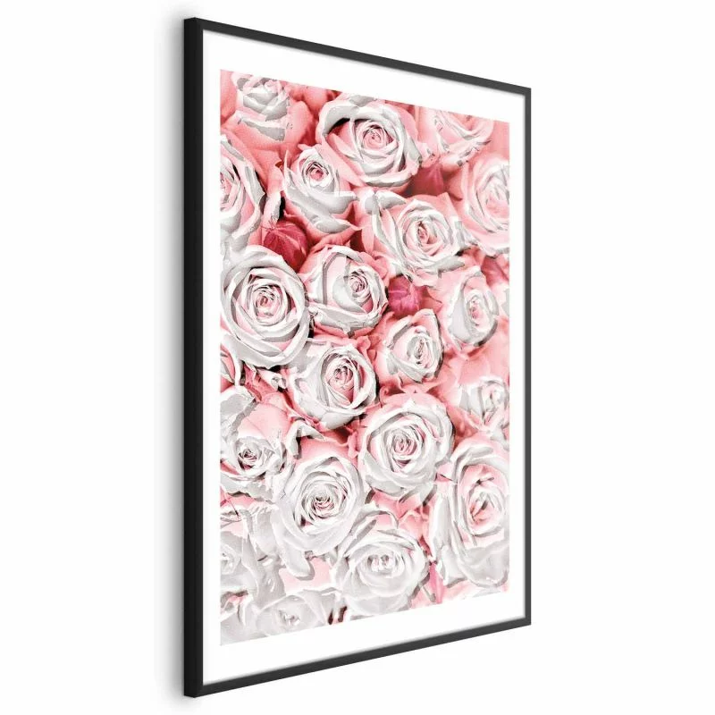 Plakat - Białe róże - obrazek 1