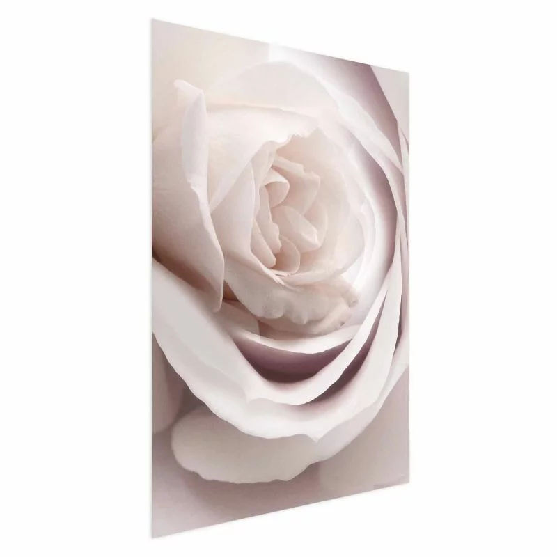 Plakat - Porcelanowa róża - obrazek 1