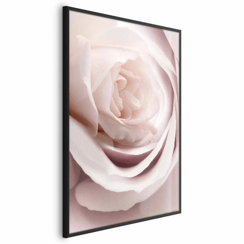Plakat - Porcelanowa róża - obrazek 1