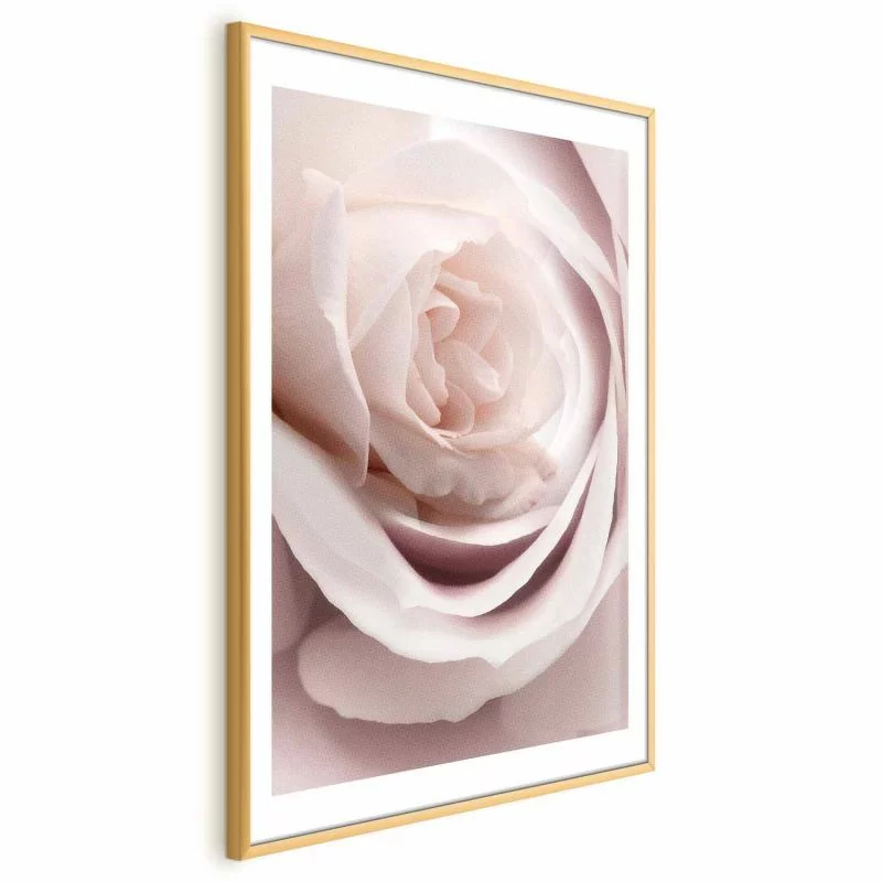 Plakat - Porcelanowa róża - obrazek 1
