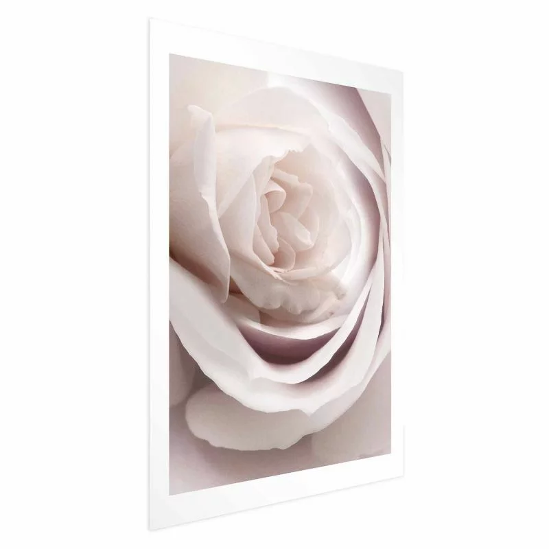 Plakat - Porcelanowa róża - obrazek 1