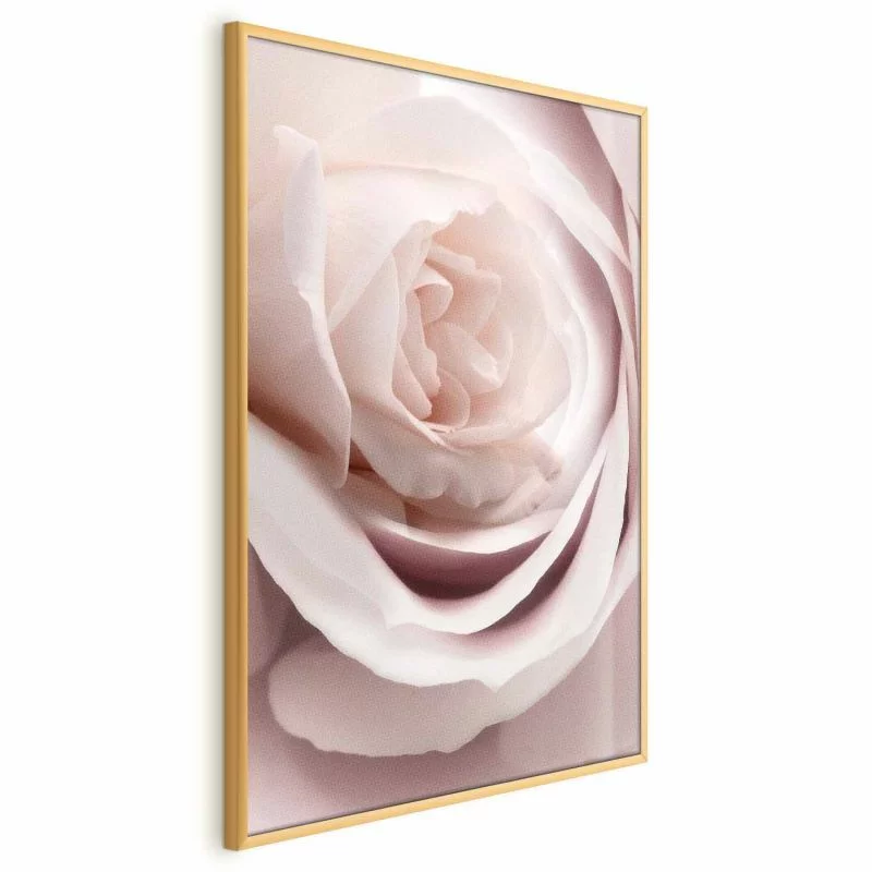 Plakat - Porcelanowa róża - obrazek 1