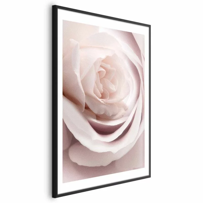 Plakat - Porcelanowa róża - obrazek 1