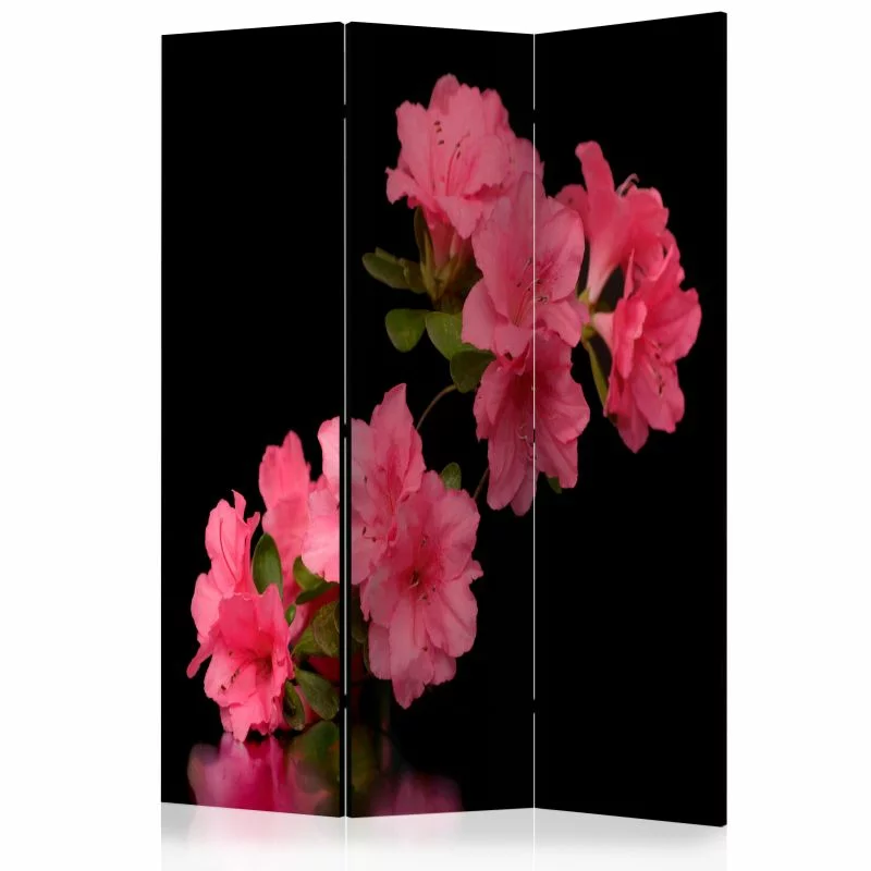Parawan - Azalea in Black - obrazek 1