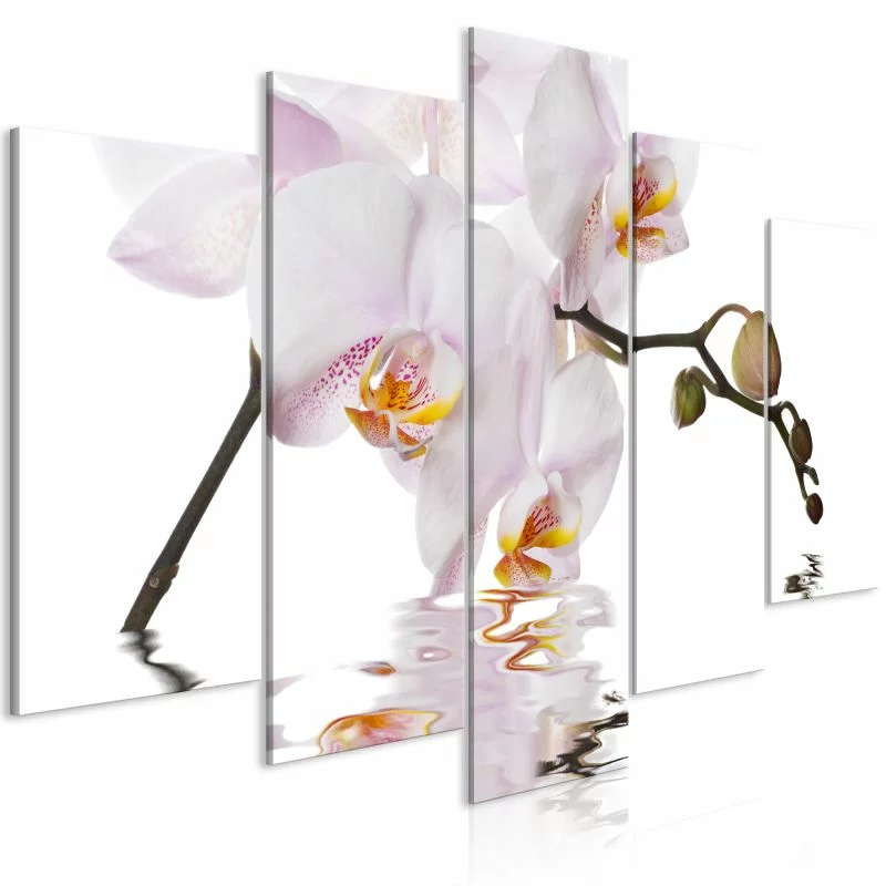 Obraz - Zachwycająca orchidea (5-częściowy) szeroki - obrazek 1
