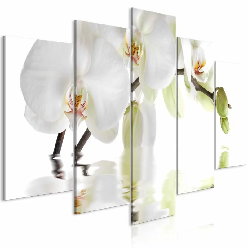 Obraz - Wspaniała orchidea (5-częściowy) szeroki - obrazek 1