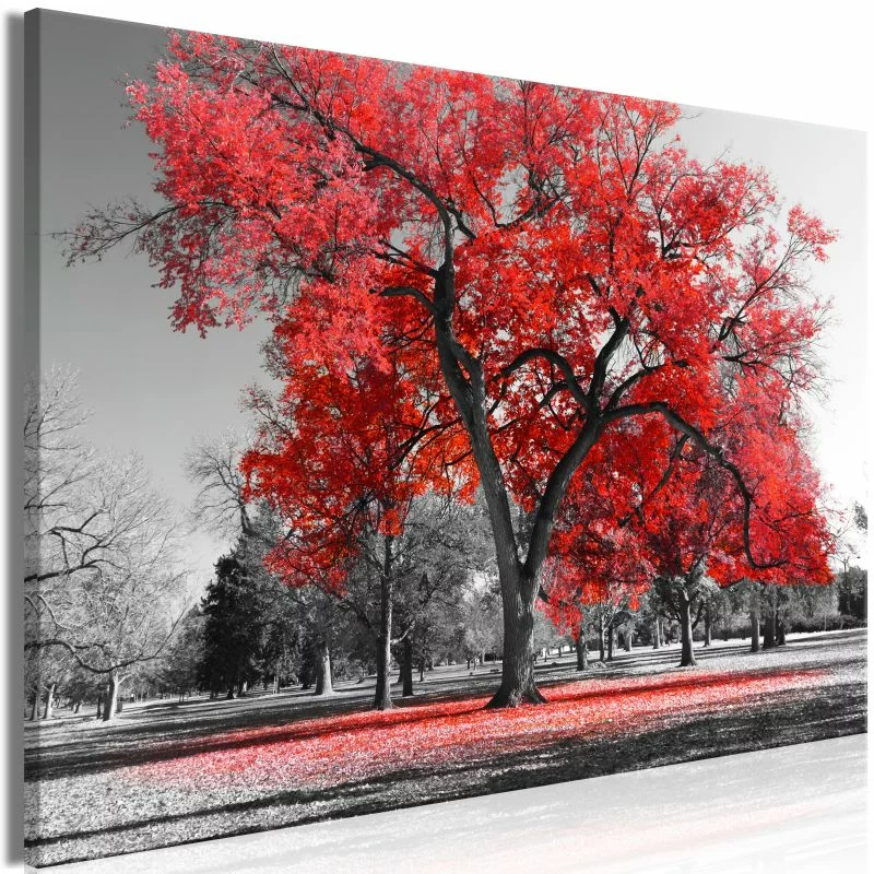 Obraz - Jesień w parku (1-częściowy) szeroki czerwony - obrazek 1