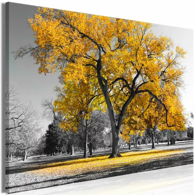 Obraz - Jesień w parku (1-częściowy) szeroki złoty - obrazek 1