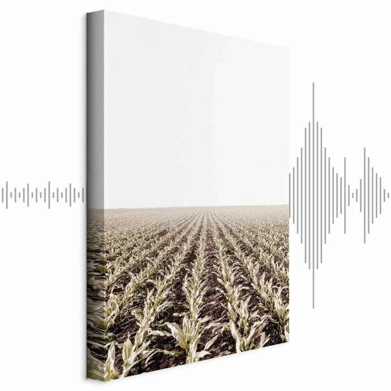 Obraz - Pole kukurydzy (1-częściowy) pionowy - obrazek 1