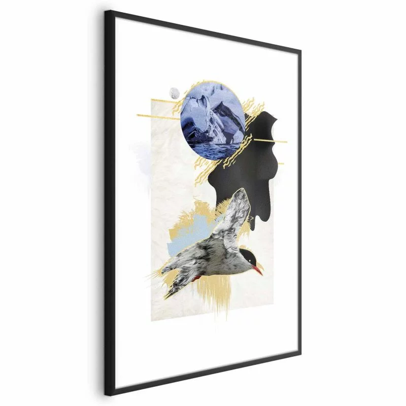 Plakat - Rybitwa antarktyczna - obrazek 1
