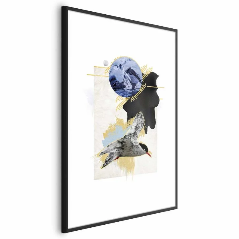 Plakat - Rybitwa antarktyczna - obrazek 1