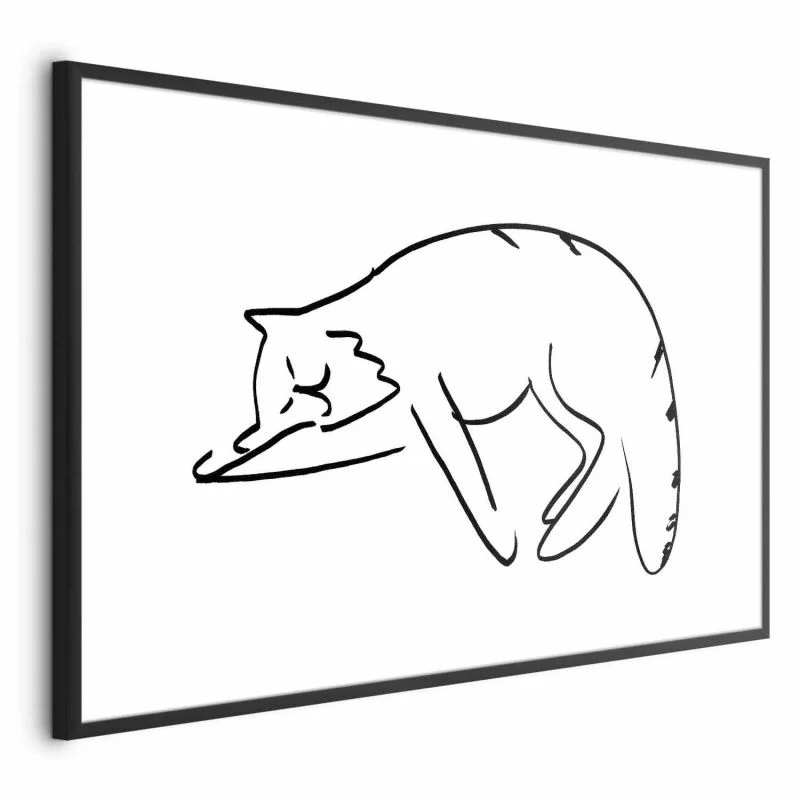 Plakat - Kocie sny - obrazek 1