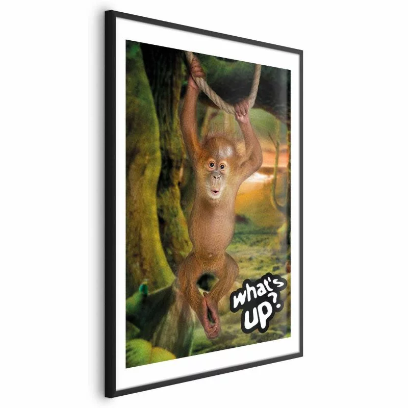 Plakat - What's Up? - obrazek 1