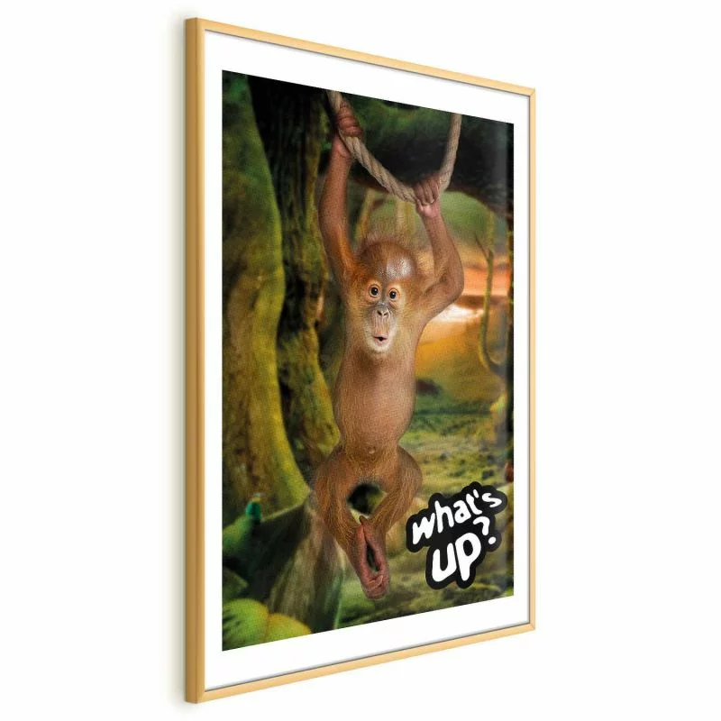 Plakat - What's Up? - obrazek 1