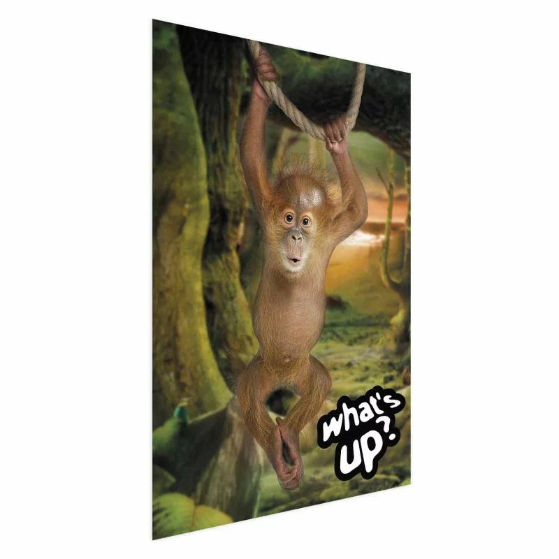 Plakat - What's Up? - obrazek 1