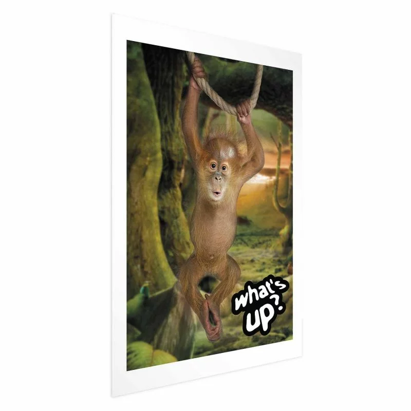 Plakat - What's Up? - obrazek 1