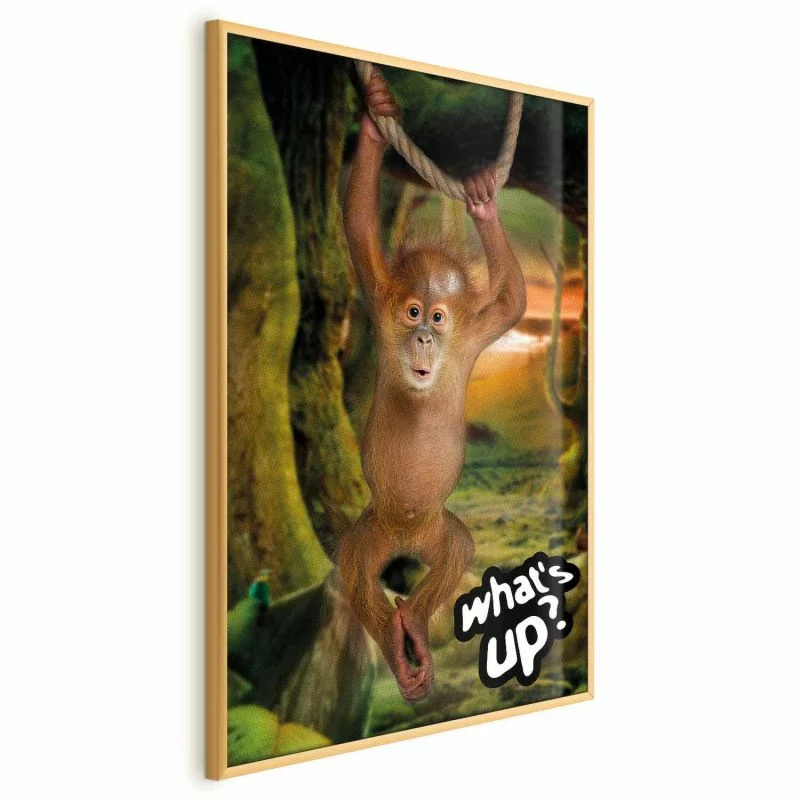 Plakat - What's Up? - obrazek 1