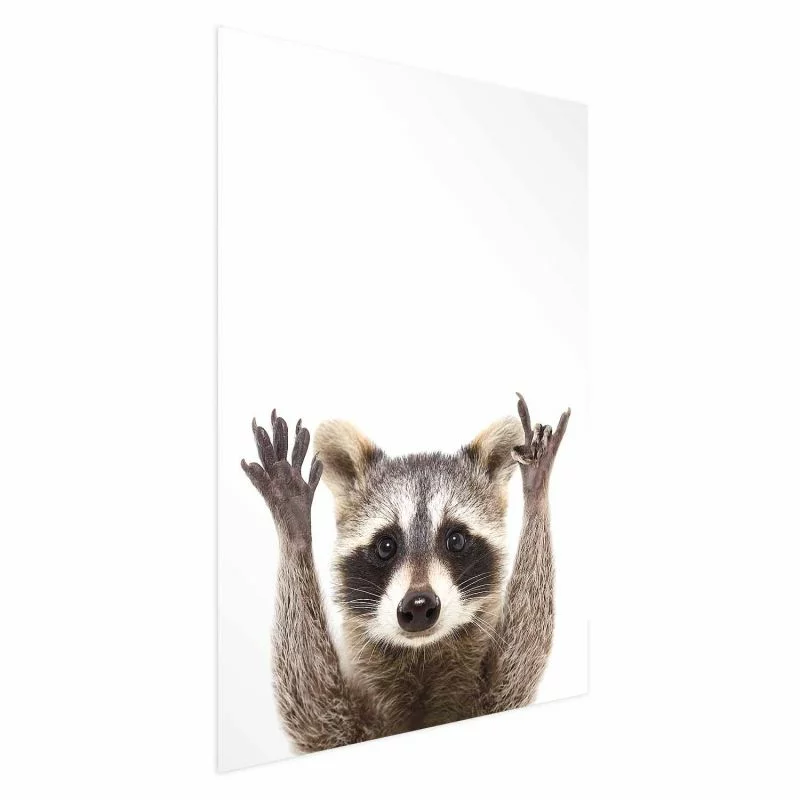 Plakat - Szop - obrazek 1