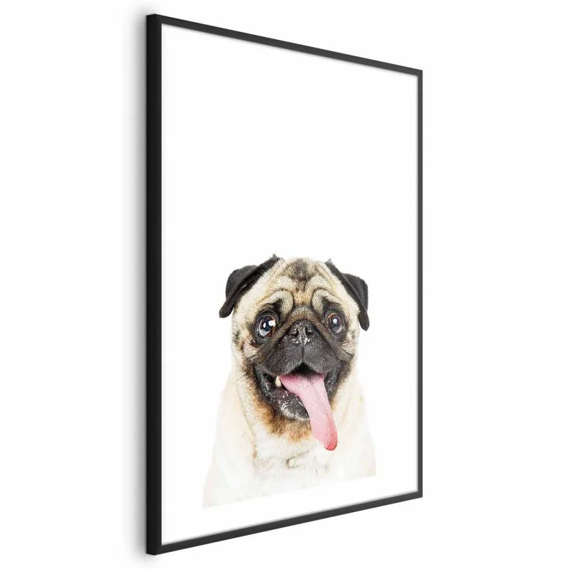 Plakat - Mops - obrazek 1