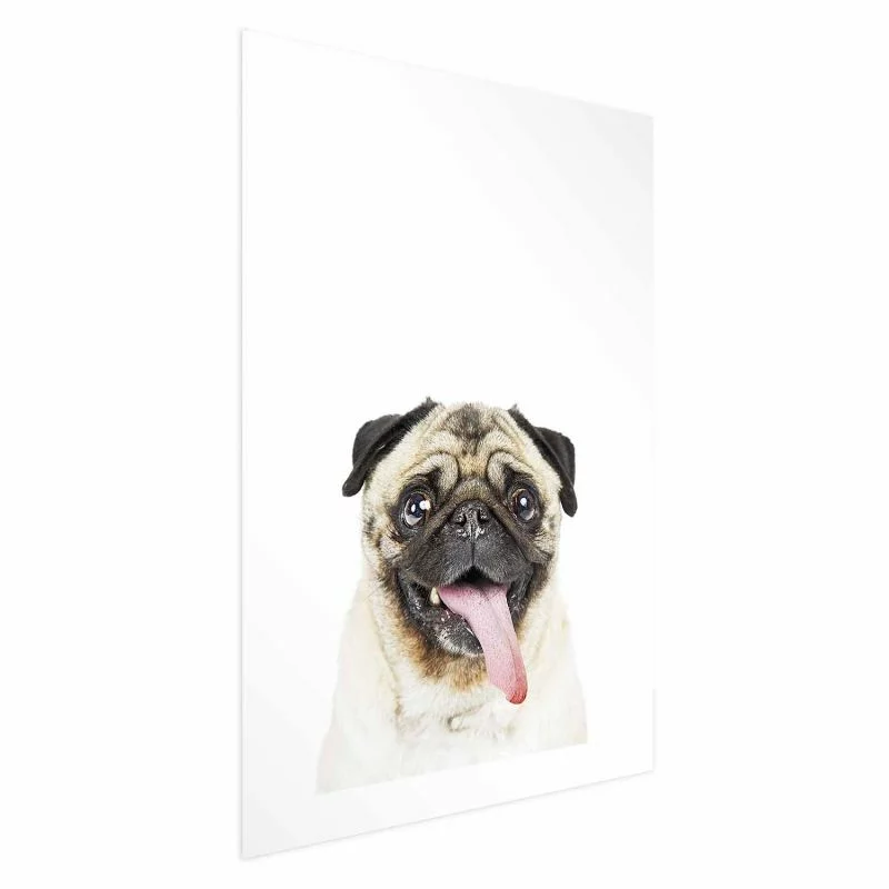 Plakat - Mops - obrazek 1
