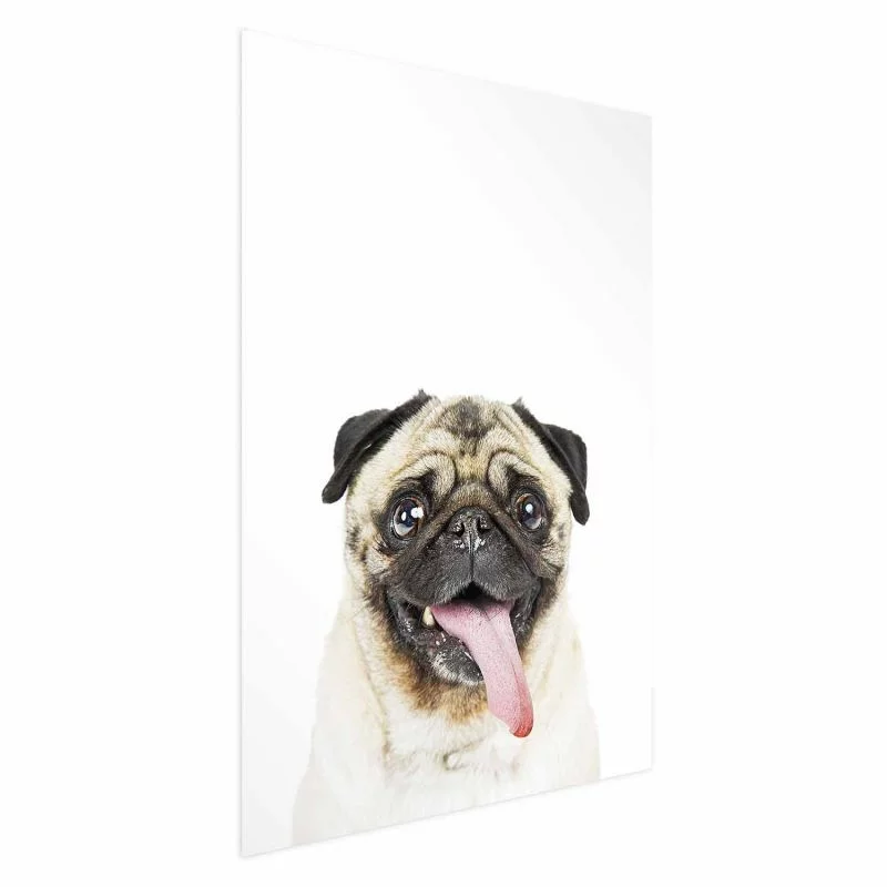 Plakat - Mops - obrazek 1