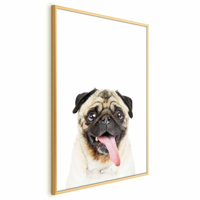 Plakat - Mops - obrazek 1