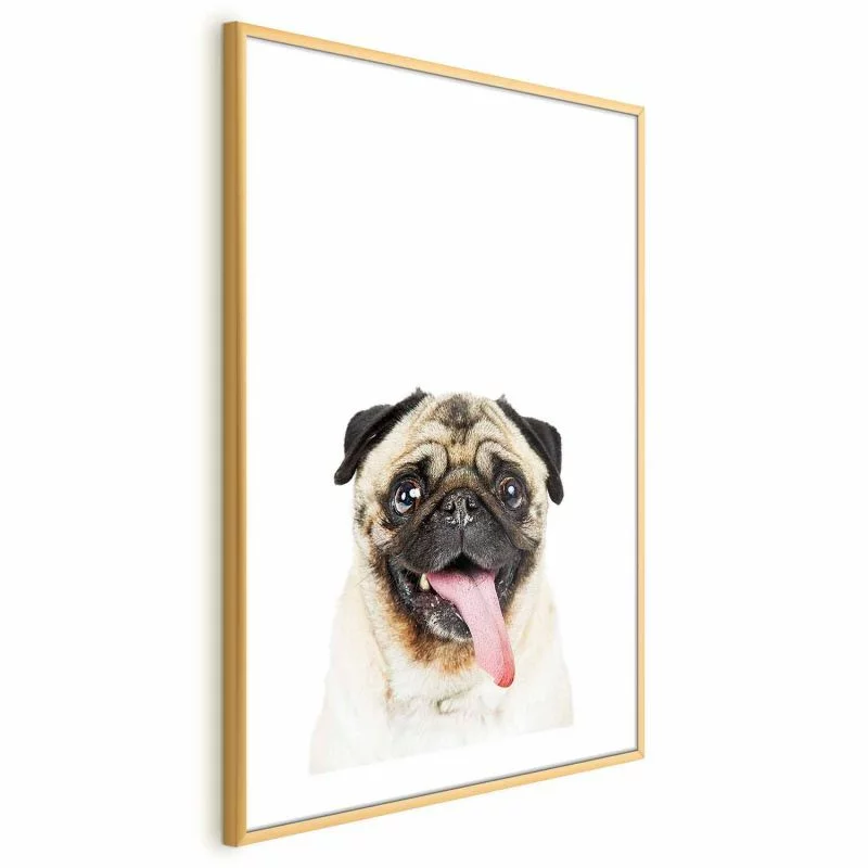 Plakat - Mops - obrazek 1