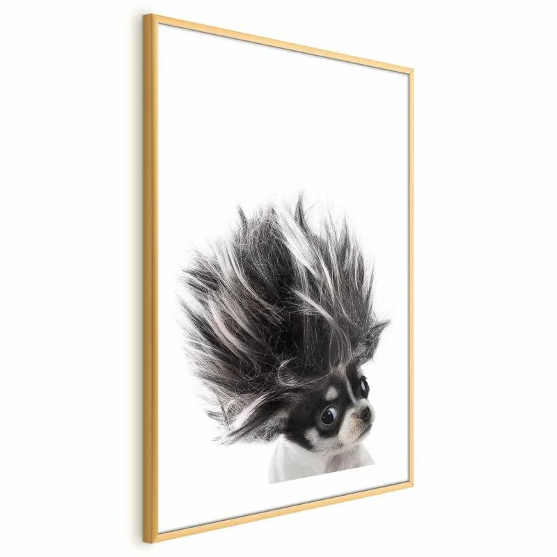 Plakat - Chihuahua - obrazek 1