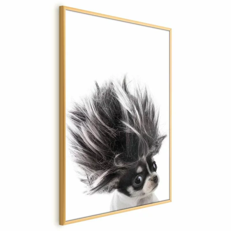 Plakat - Chihuahua - obrazek 1