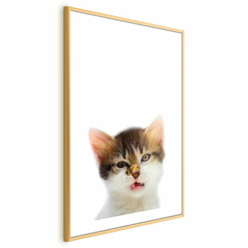Plakat - Zirytowany kot - obrazek 1