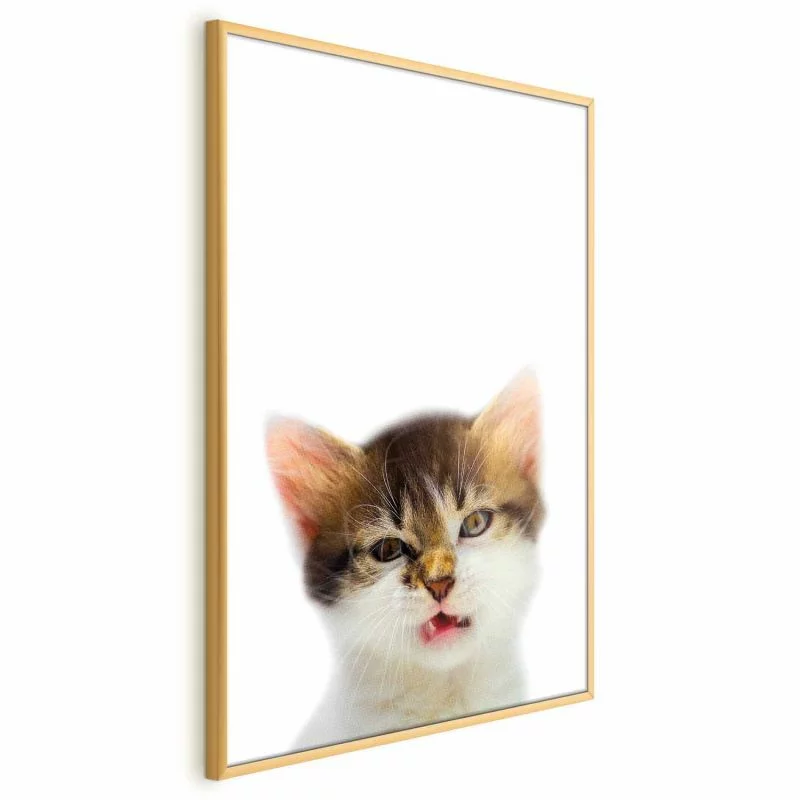 Plakat - Zirytowany kot - obrazek 1