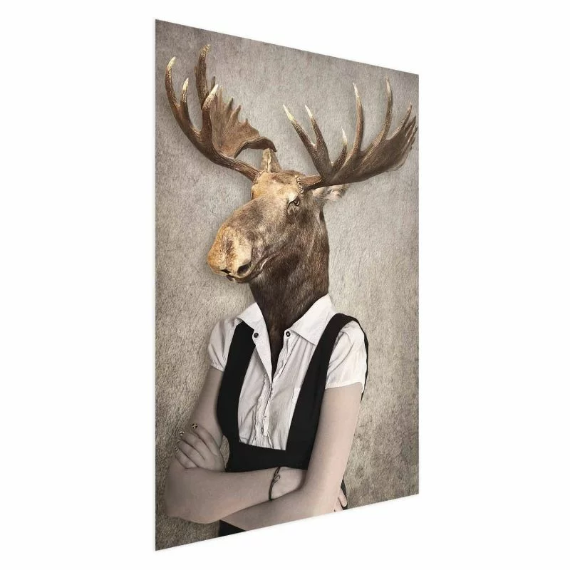Plakat - Łebski łoś - obrazek 1