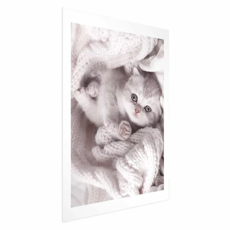 Plakat - Miłośnik wypoczynku - obrazek 1