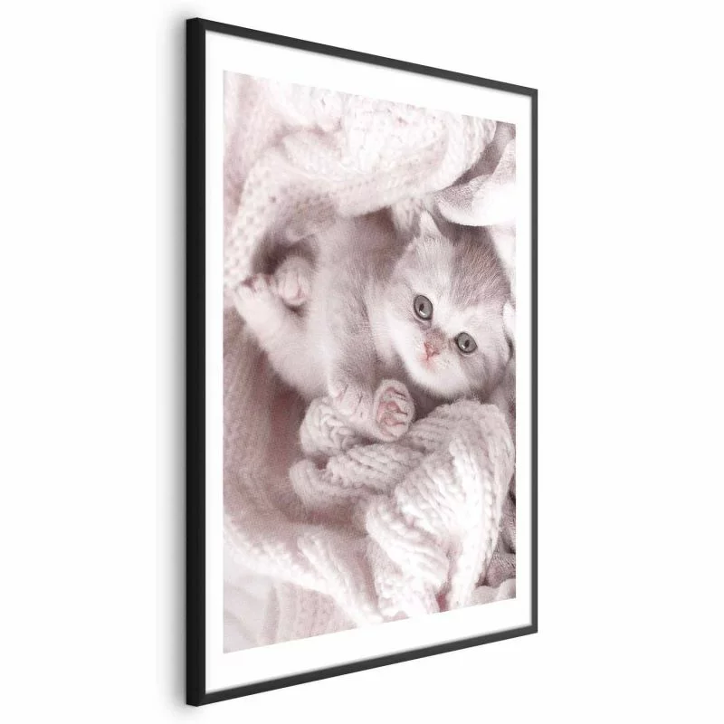 Plakat - Miłośnik wypoczynku - obrazek 1