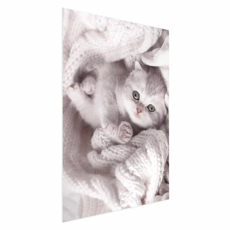 Plakat - Miłośnik wypoczynku - obrazek 1