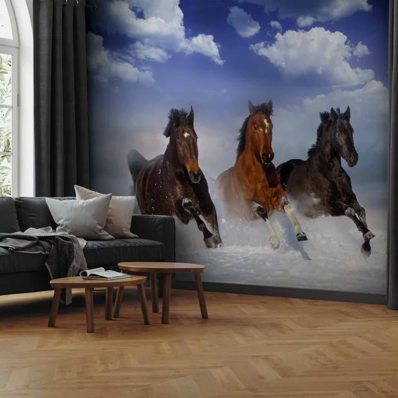 Fototapeta - Konie w śniegu - obrazek 1