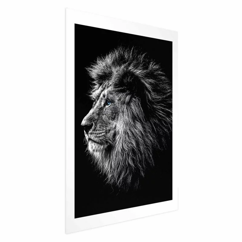 Plakat - Niebieskooki lew - obrazek 1