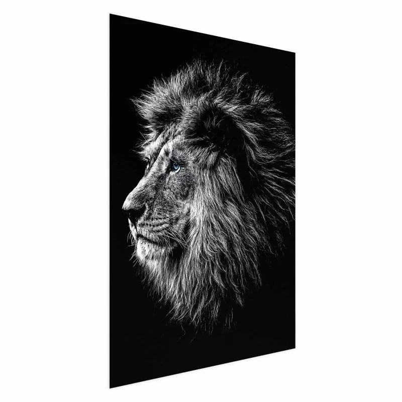 Plakat - Niebieskooki lew - obrazek 1