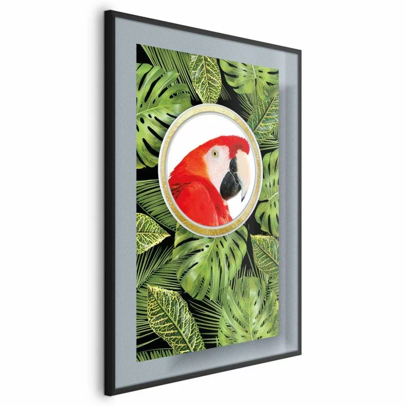 Plakat - Papuga w dżungli - obrazek 1